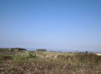 IMG_20251009_103212
